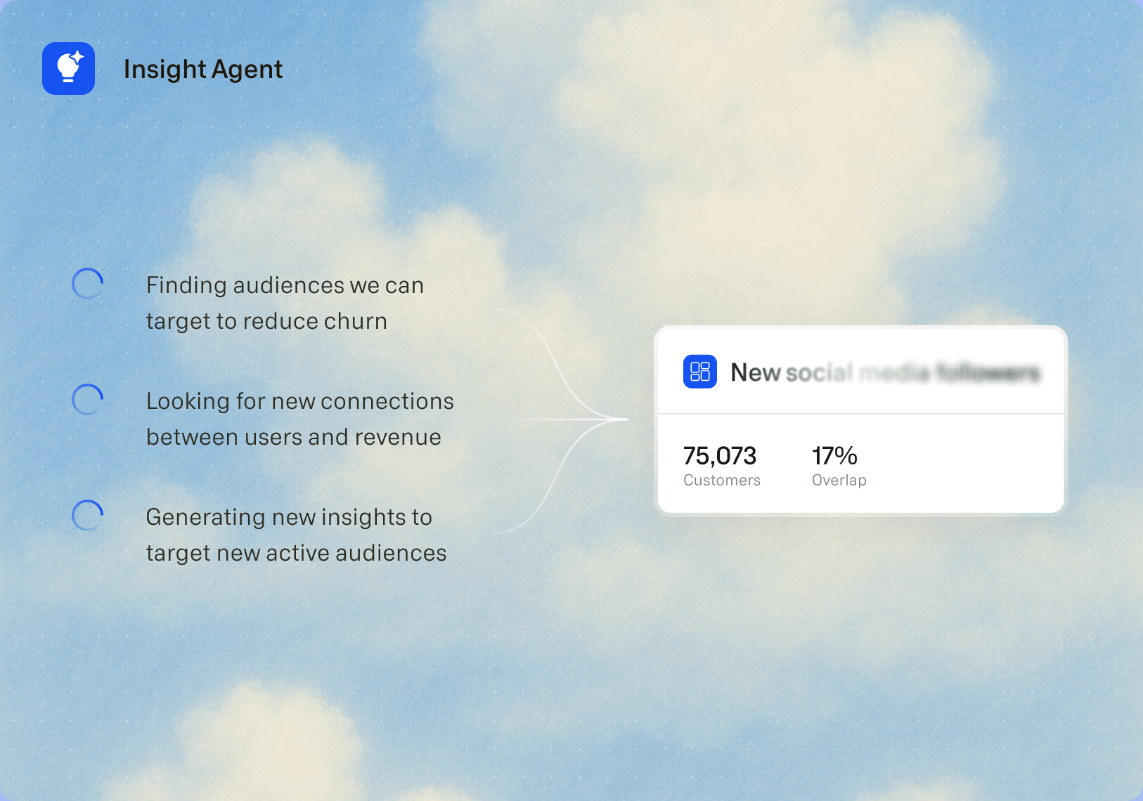 ‍Insights Agent